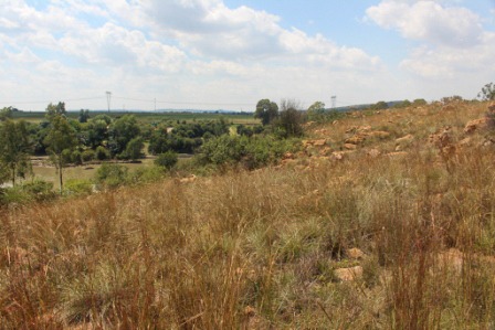 0 Bedroom Property for Sale in Parys Free State